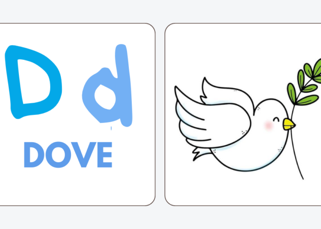 A Dove Surprised Noah!