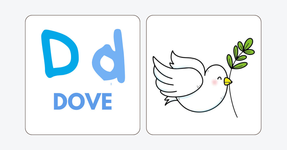 A Dove Surprised Noah!