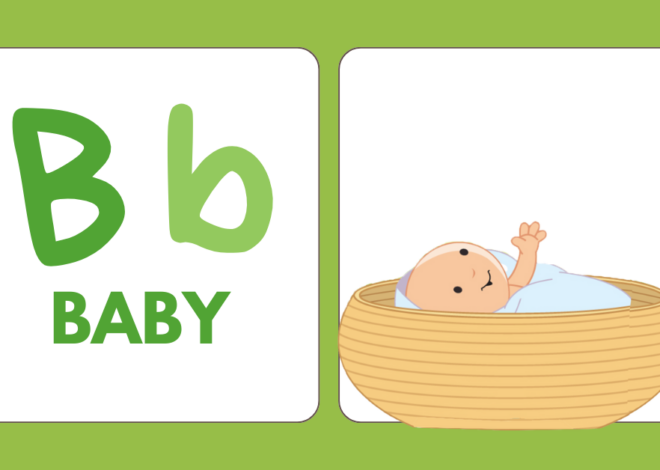  B IS FOR BABY MOSES AND BASKET