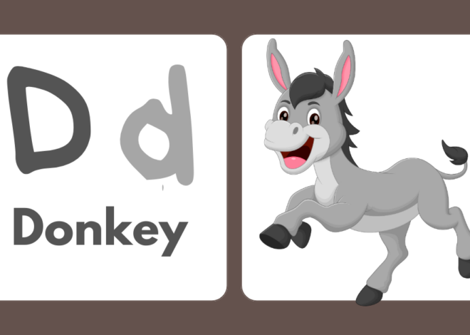 JESUS Ride a Donkey